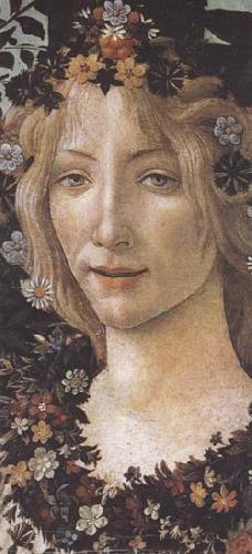 Sandro Botticelli Primavera oil painting image